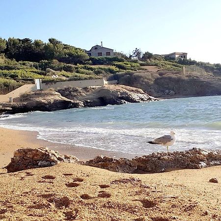 T3 Climatise Avec Jardin, Parking Prive, A 400M De La Plage Et Commerces - Fr-1-316-230 Six-Fours-les-Plages Exterior foto