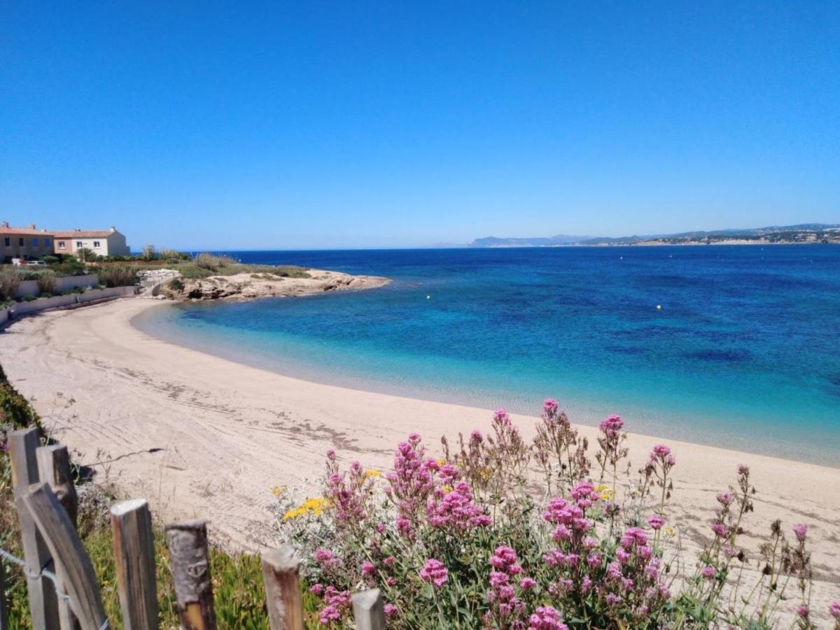 T3 Climatise Avec Jardin, Parking Prive, A 400M De La Plage Et Commerces - Fr-1-316-230 Six-Fours-les-Plages Exterior foto